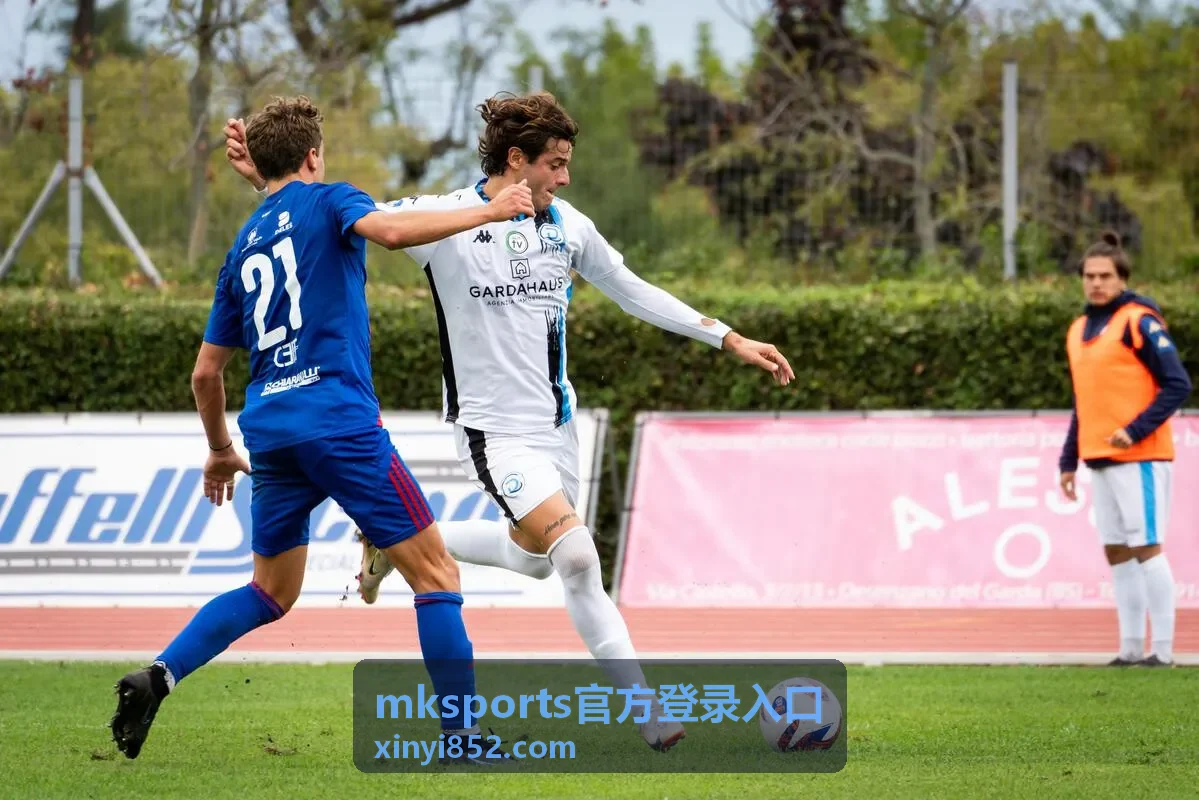 mksports官方登录入口验证环节处理示意