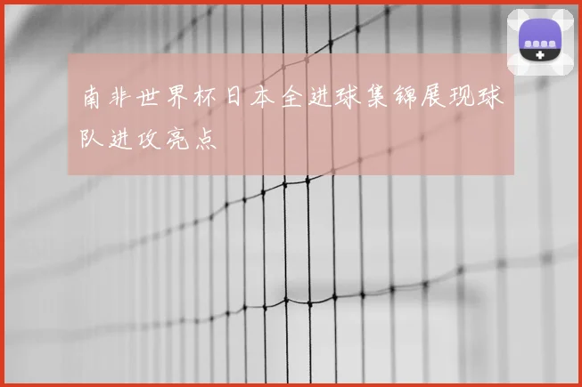 南非世界杯日本全进球集锦展现球队进攻亮点